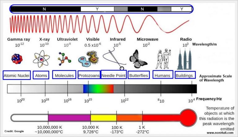 Smartphone Radiation For Health - You Should Know (2020)