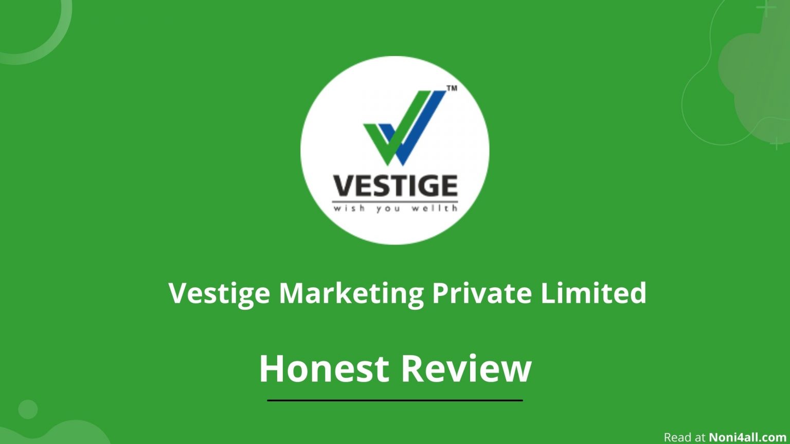 vestige business plan review