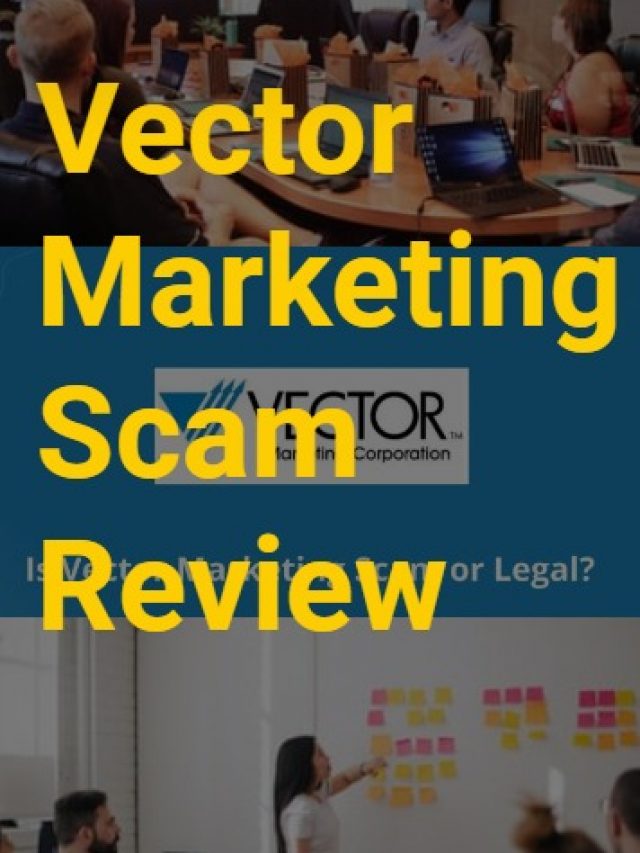 vector marketing scam review