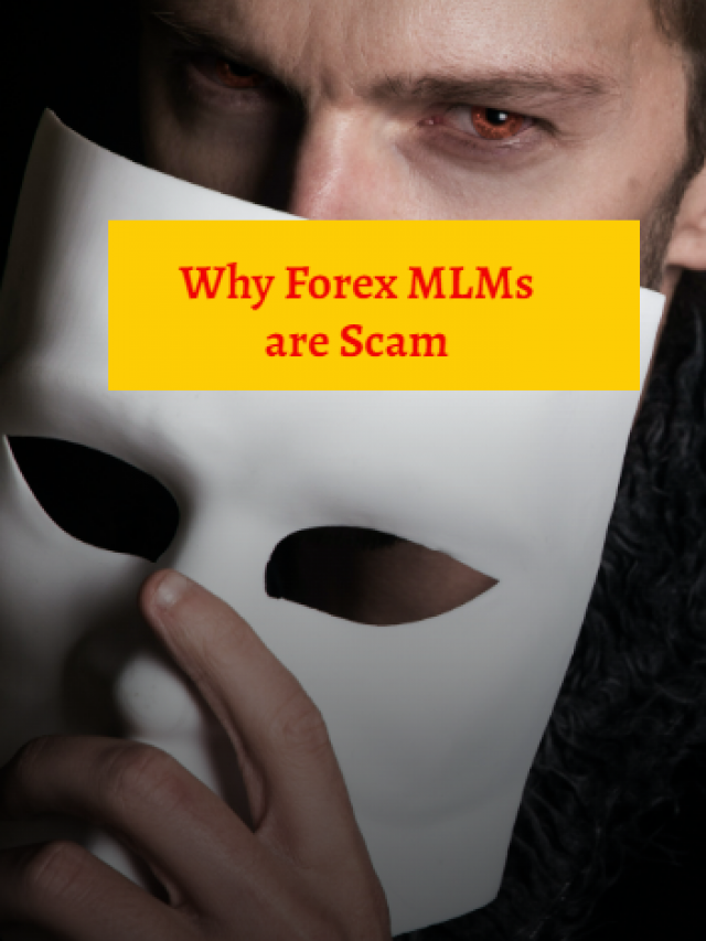 Why Forex MLM Scam