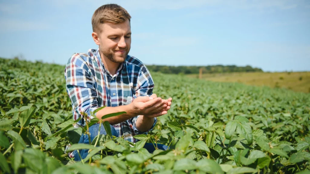 Food Safety Traceability Software: Ensuring Safety from Farm to Fork