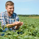 Temperature Monitoring and Its Role in Modern Food Safety Programs